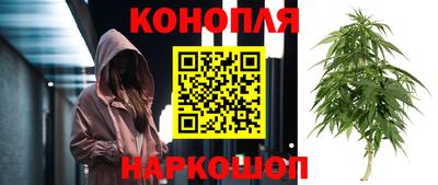 ПСИЛОЦИБИНОВЫЕ ГРИБЫ Тула